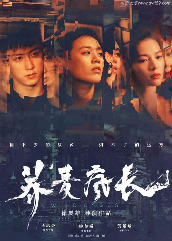 荞麦疯长(2020)