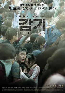 流感 (2013)