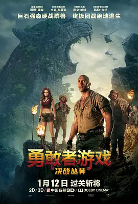 勇敢者游戏:决战丛林 (2017)