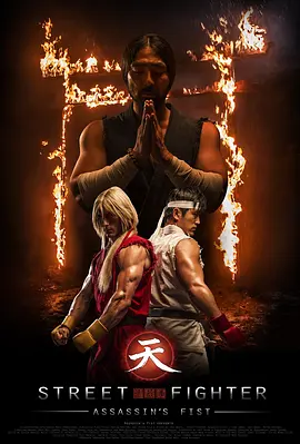 街头霸王:暗杀拳 (2014)