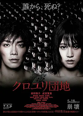 黑百合小区 (2013)