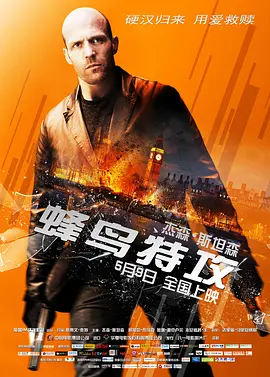 蜂鸟特攻 (2013)